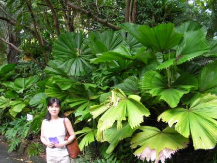 ケープトレビュレーションへ